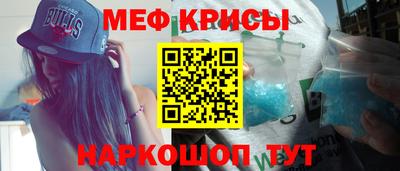 молекула духа Кингисепп
