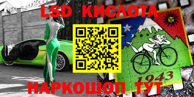 молекула духа Кингисепп