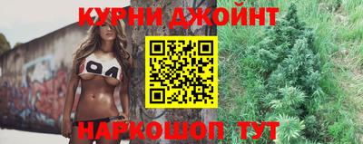 молекула духа Кингисепп