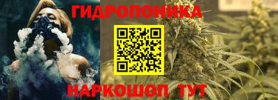 ПСИЛОЦИБИНОВЫЕ ГРИБЫ Ковров