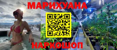 крисы Кимры