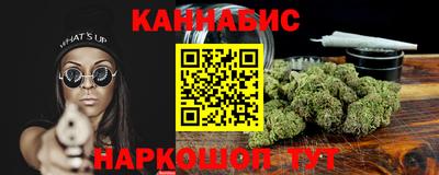 крисы Кимры