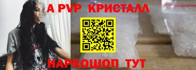 молекула духа Кингисепп