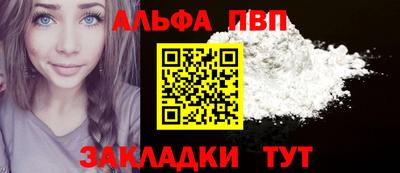 молекула духа Кингисепп