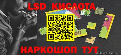 крисы Кимры