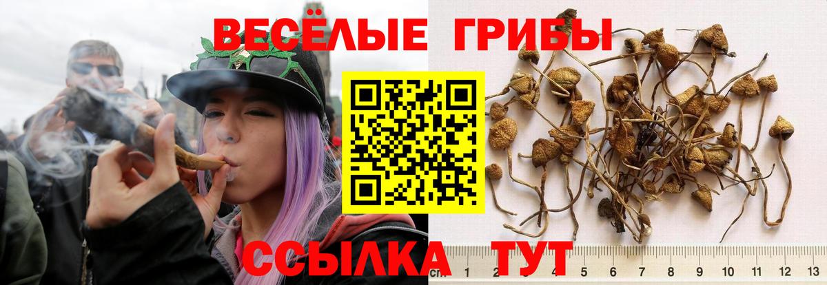 Псилоцибиновые грибы мухоморы Долгопрудный