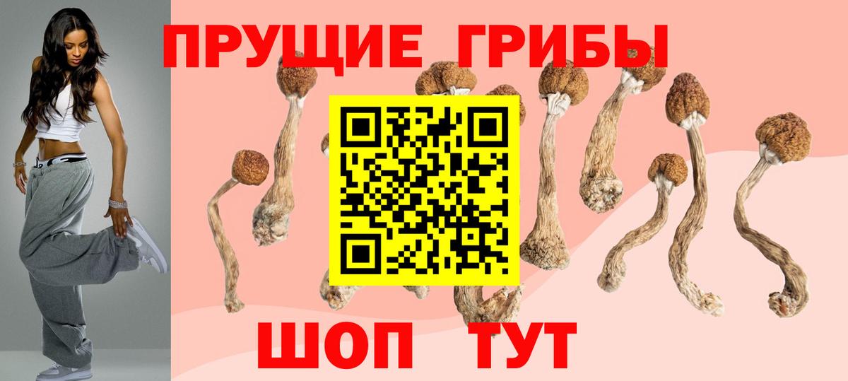 Псилоцибиновые грибы Magic Shrooms  Вход с VPN  Долгопрудный 